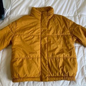 Puffed Yellow jacket